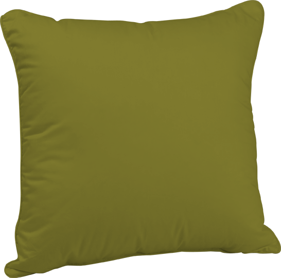 Green cushion