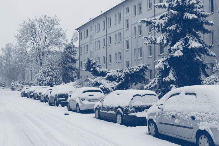 shutterstock_2114986883