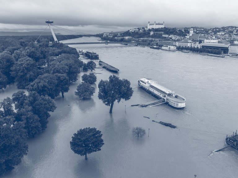 shutterstock_2517811347