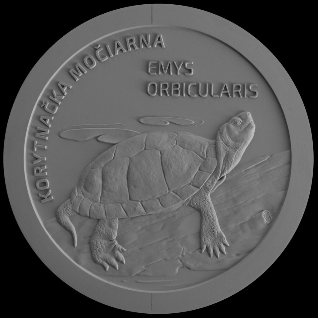 Bankovky a mince, Výsledky verejnej anonymnej súťaže na výtvarný návrh zberateľskej euromince z obyčajných kovov v nominálnej hodnote 5 eur s tematikou Fauna a flóra na Slovensku – korytnačka močiarna