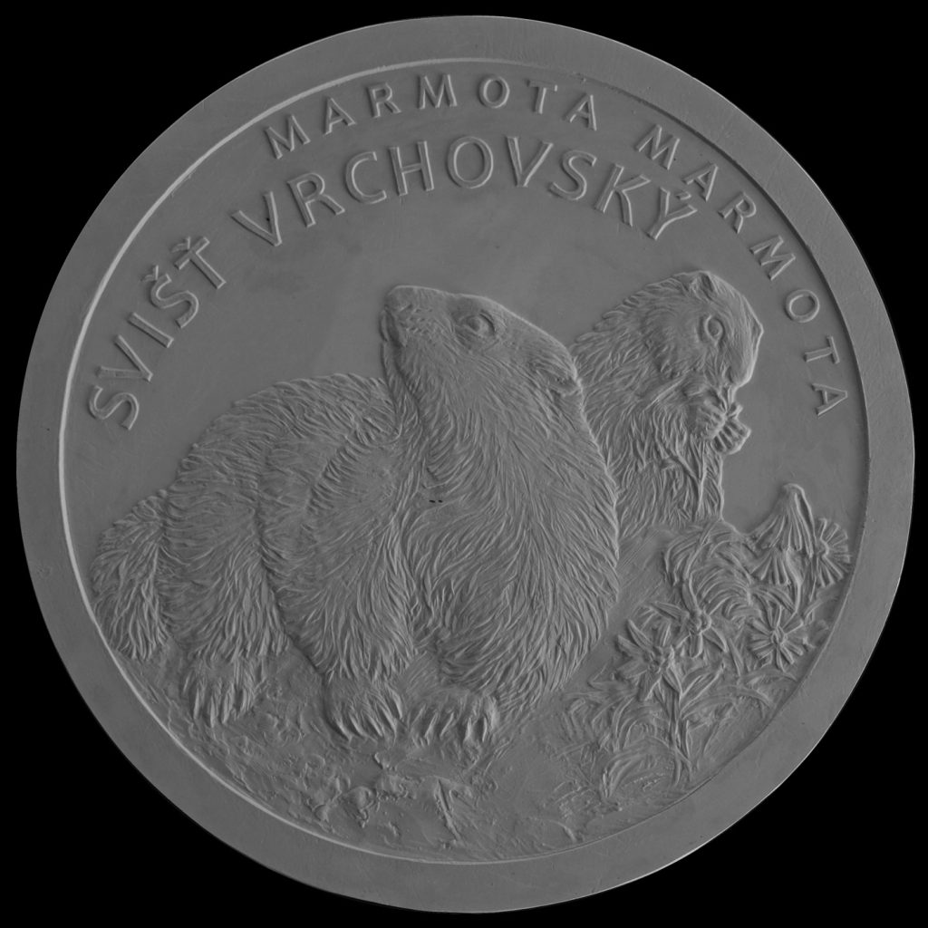 Bankovky a mince, Výsledky verejnej anonymnej súťaže na výtvarný návrh zberateľskej euromince z obyčajných kovov v nominálnej hodnote 5 eur s tematikou Fauna a flóra na Slovensku – svišť vrchovský