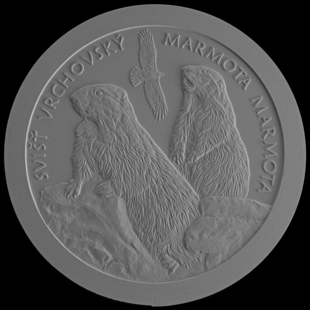 Bankovky a mince, Výsledky verejnej anonymnej súťaže na výtvarný návrh zberateľskej euromince z obyčajných kovov v nominálnej hodnote 5 eur s tematikou Fauna a flóra na Slovensku – svišť vrchovský